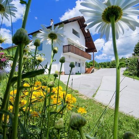 Apartment Bastaja สลูน ภายนอก รูปภาพ