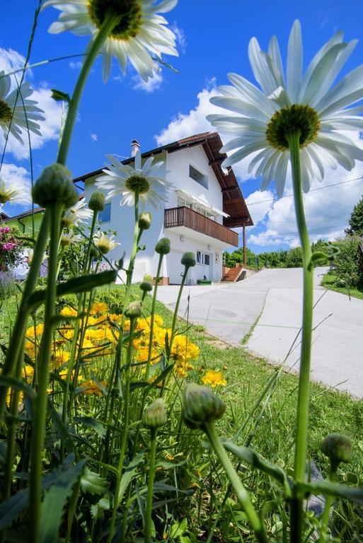 Apartment Bastaja สลูน ภายนอก รูปภาพ